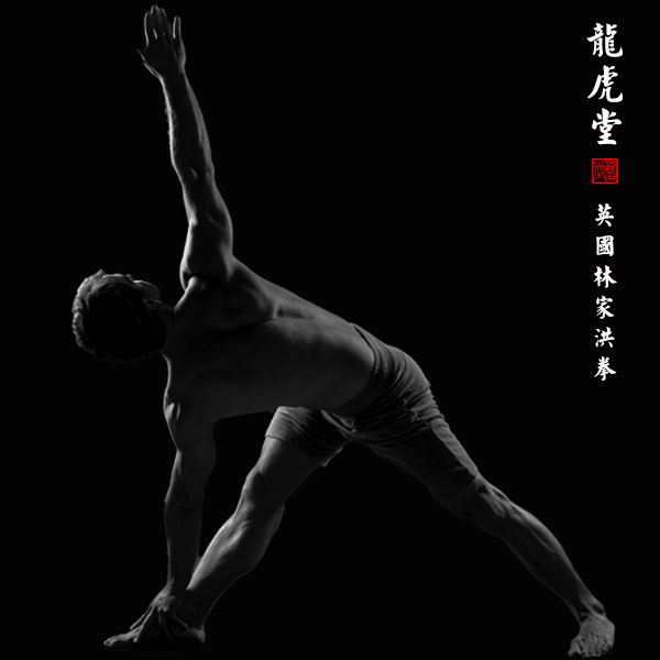 Loong Fu Movement Clinic